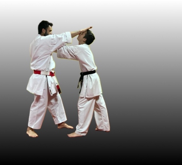 Defensa Personal