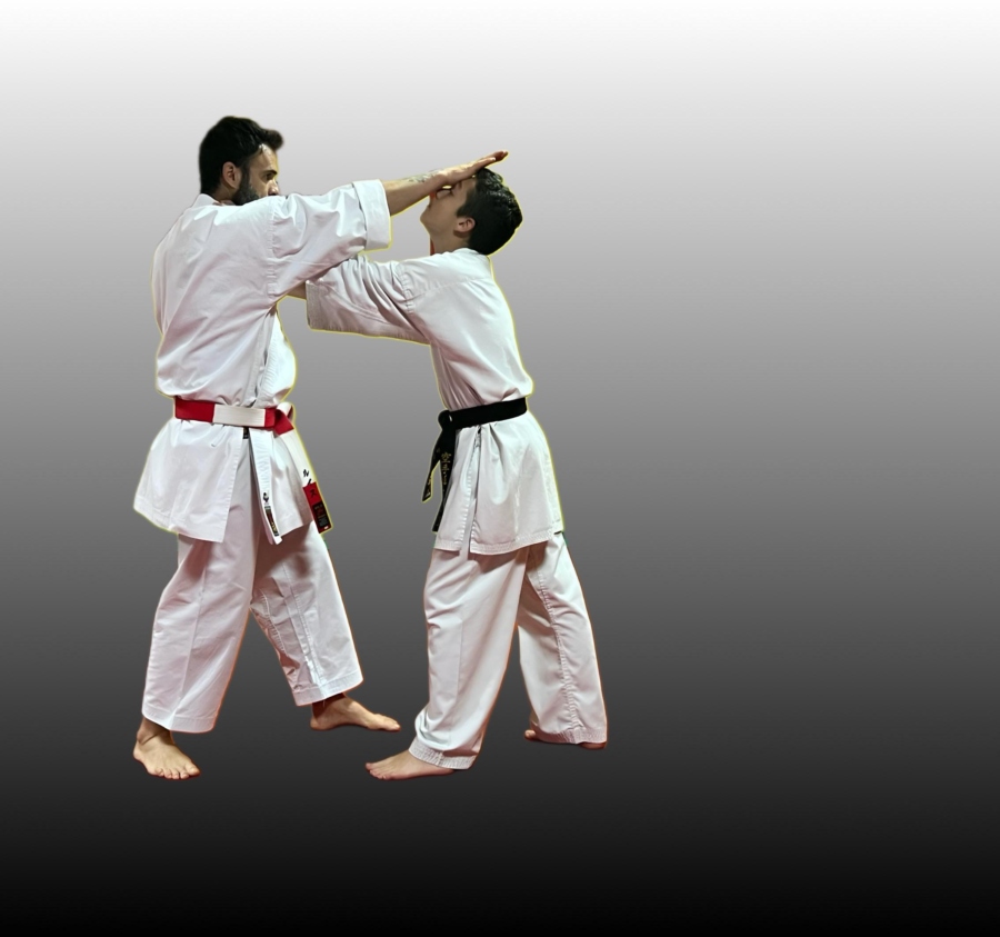 Defensa Personal