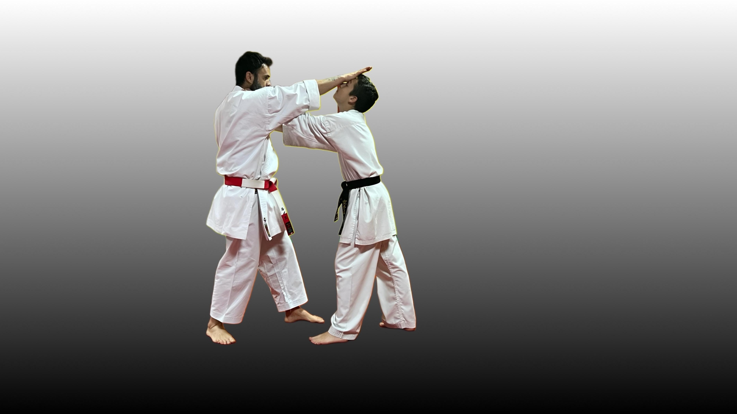 Defensa Personal